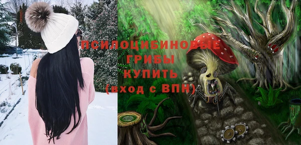 герыч Бородино