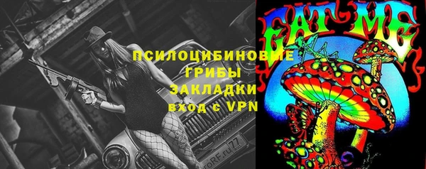 герыч Бородино