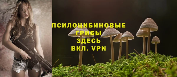 герыч Бородино