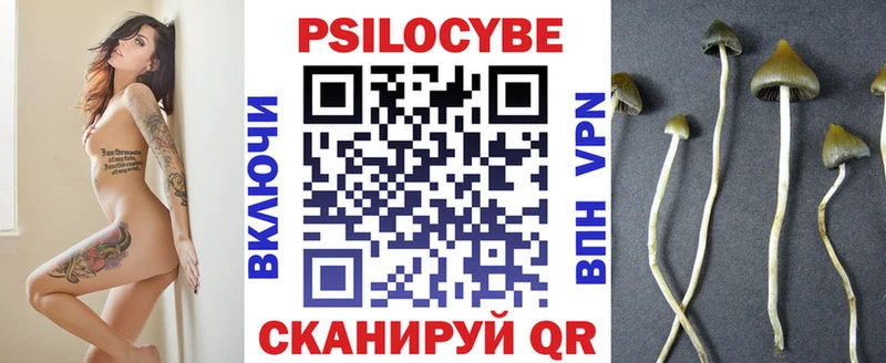 Псилоцибиновые грибы Cubensis  Купить  Муравленко 